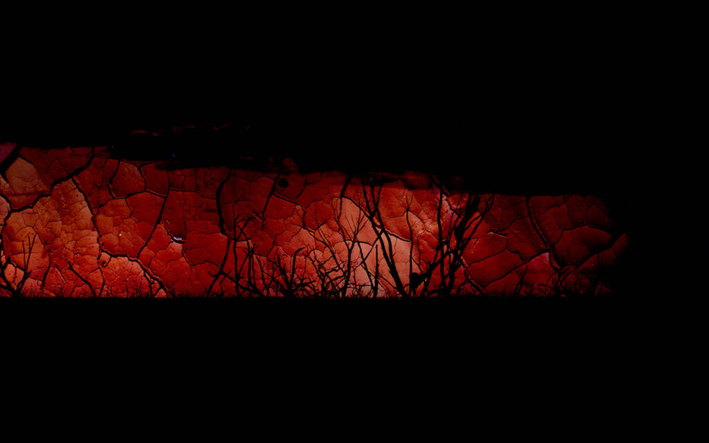 a layered image of cracked ground, dead trees and sunsets
